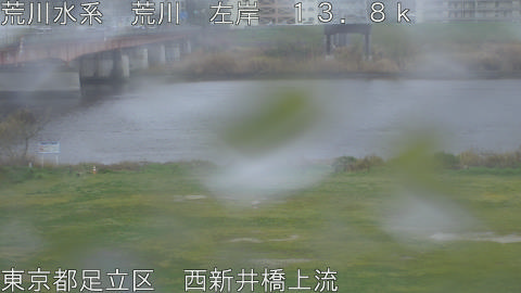 arani2026033114_image