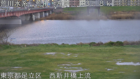 arani2026033118_image