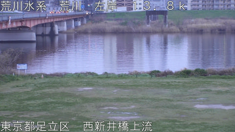 arani2026040106_image