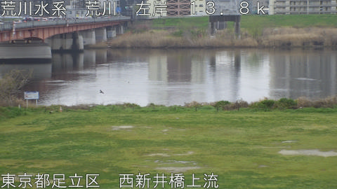 arani2026040107_image