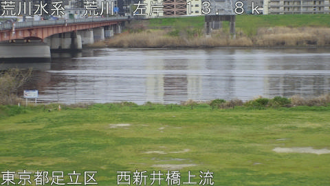 arani2026040108_image