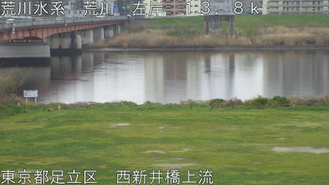 arani2026040109_image