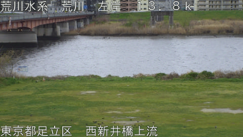 arani2026040110_image