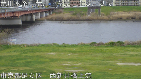 arani2026040111_image