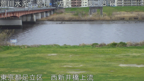 arani2026040112_image