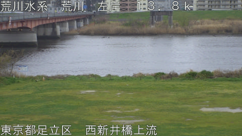 arani2026040114_image