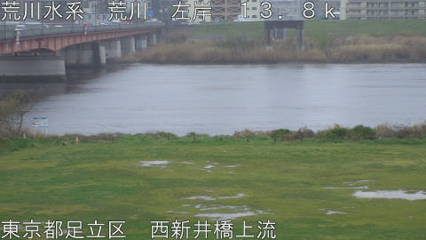 arani2026040115_image