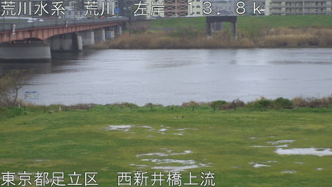 arani2026040116_image