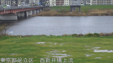 arani2026040117_image