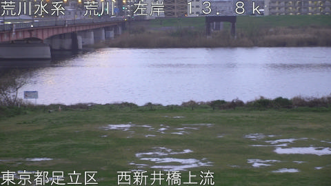 arani2026040118_image