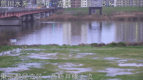 arani2026040206_image