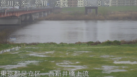 arani2026040208_image