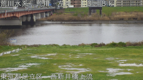 arani2026040211_image