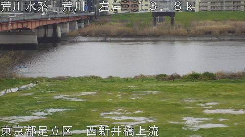 arani2026040212_image