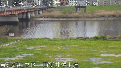 arani2026040213_image