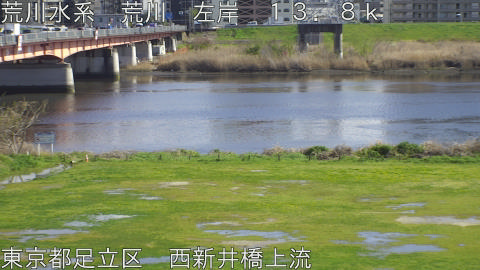 arani2026040215_image