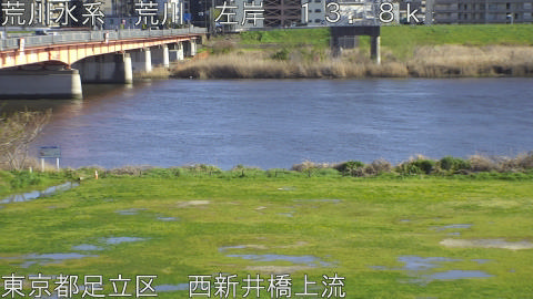 arani2026040216_image