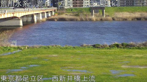 arani2026040217_image