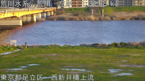 arani2026040218_image