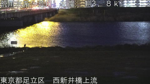 arani2026040219_image