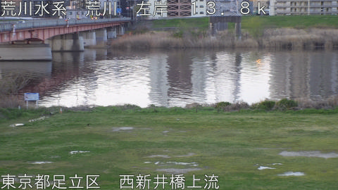 arani2026040306_image