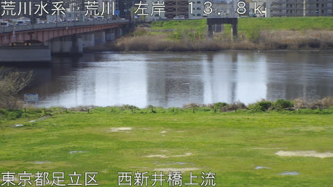 arani2026040309_image