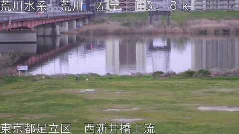 arani2026040406_image