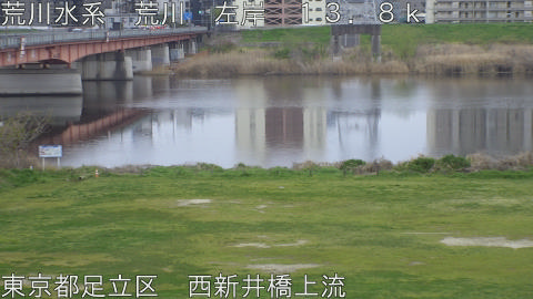 arani2026040407_image