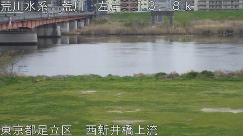 arani2026040408_image