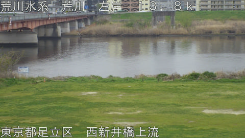 arani2026040409_image