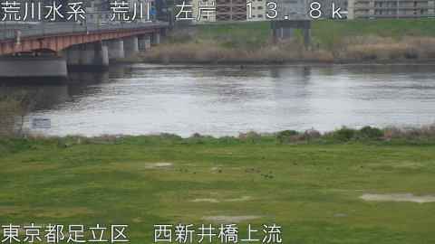 arani2026040410_image