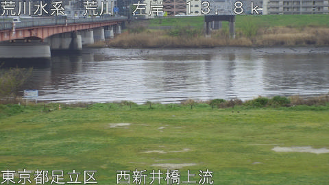 arani2026040412_image