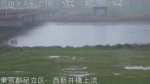 arani2026040414_image