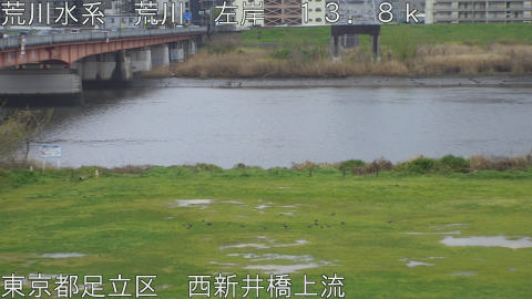 arani2026040415_image