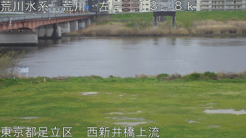 arani2026040417_image