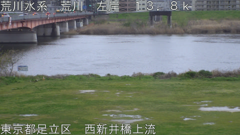 arani2026040418_image