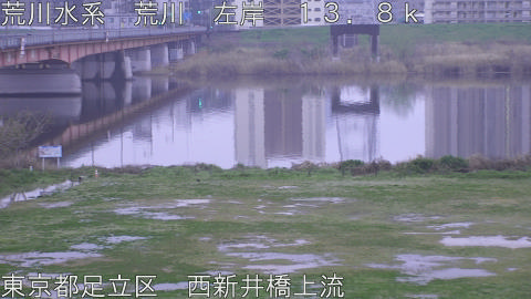 arani2026040506_image