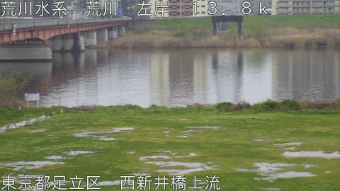 arani2026040507_image