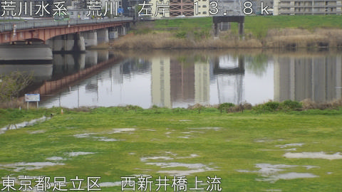 arani2026040508_image