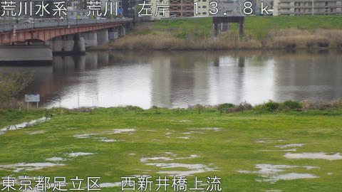 arani2026040509_image