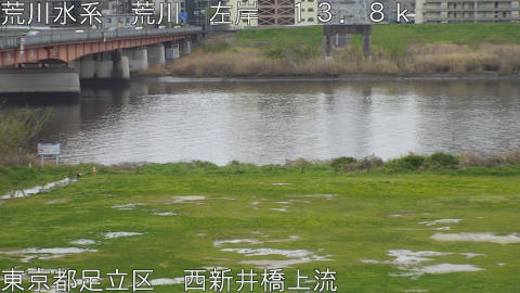 arani2026040511_image