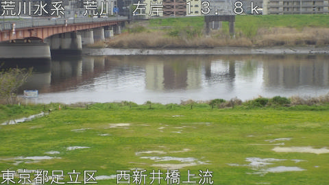 arani2026040513_image