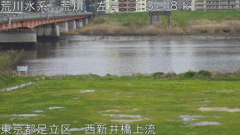 arani2026040514_image