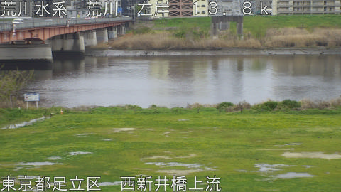 arani2026040515_image