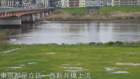 arani2026040516_image