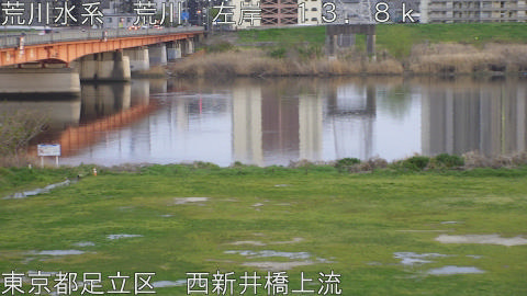 arani2026040518_image