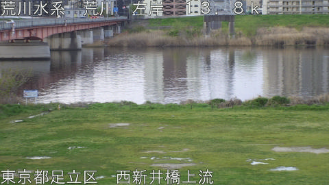 arani2026040606_image