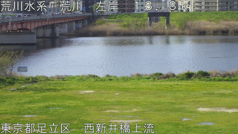 arani2026040608_image