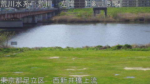 arani2026040609_image