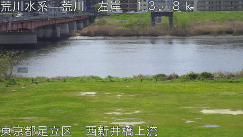 arani2026040611_image